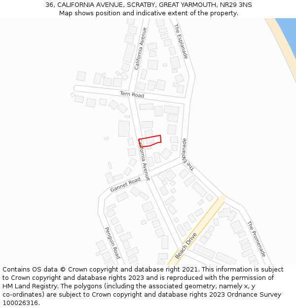 36, CALIFORNIA AVENUE, SCRATBY, GREAT YARMOUTH, NR29 3NS: Location map and indicative extent of plot