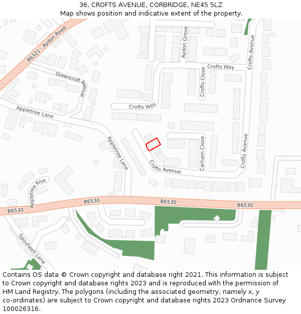 36, CROFTS AVENUE, CORBRIDGE, NE45 5LZ: Location map and indicative extent of plot