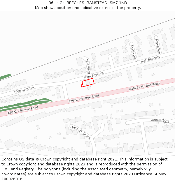 36, HIGH BEECHES, BANSTEAD, SM7 1NB: Location map and indicative extent of plot