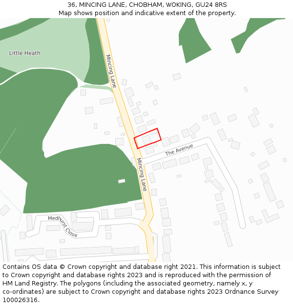 36, MINCING LANE, CHOBHAM, WOKING, GU24 8RS: Location map and indicative extent of plot