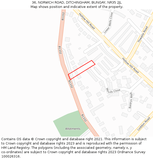 36, NORWICH ROAD, DITCHINGHAM, BUNGAY, NR35 2JL: Location map and indicative extent of plot