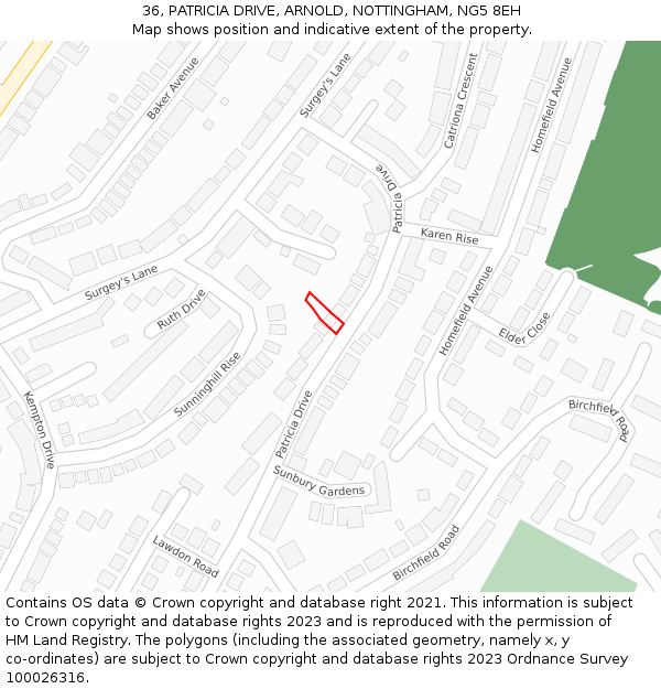 36, PATRICIA DRIVE, ARNOLD, NOTTINGHAM, NG5 8EH: Location map and indicative extent of plot