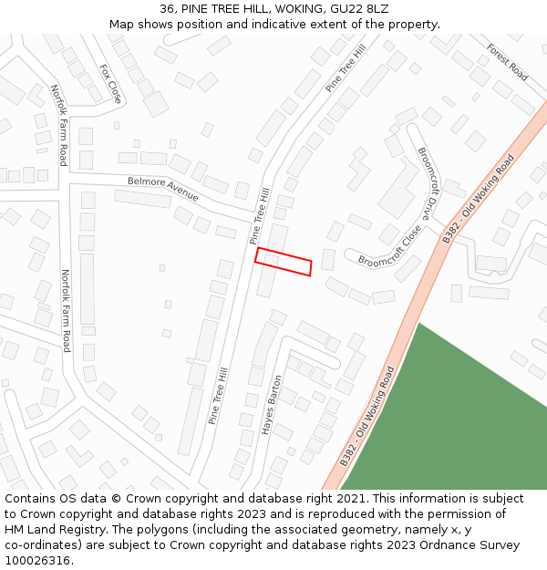 36, PINE TREE HILL, WOKING, GU22 8LZ: Location map and indicative extent of plot