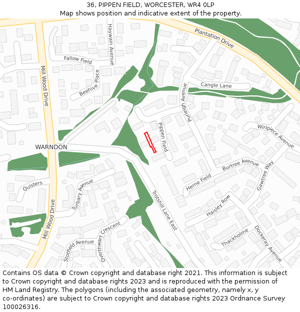 36, PIPPEN FIELD, WORCESTER, WR4 0LP: Location map and indicative extent of plot