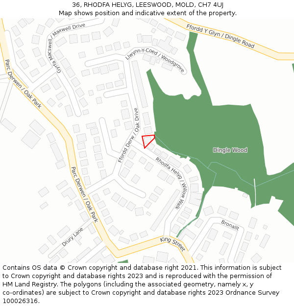 36, RHODFA HELYG, LEESWOOD, MOLD, CH7 4UJ: Location map and indicative extent of plot