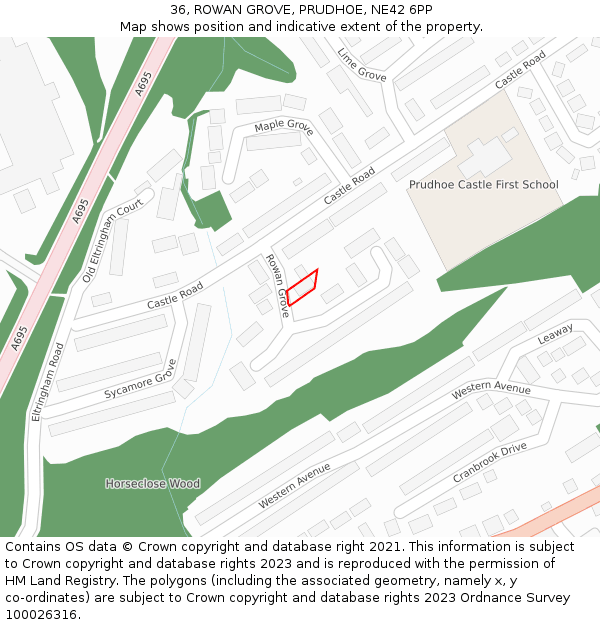 36, ROWAN GROVE, PRUDHOE, NE42 6PP: Location map and indicative extent of plot