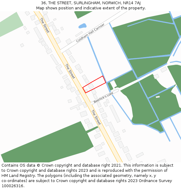 36, THE STREET, SURLINGHAM, NORWICH, NR14 7AJ: Location map and indicative extent of plot