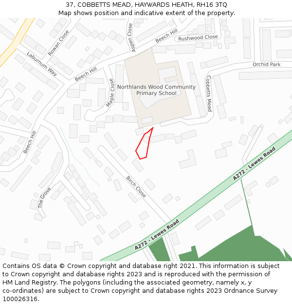 37, COBBETTS MEAD, HAYWARDS HEATH, RH16 3TQ: Location map and indicative extent of plot