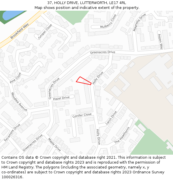 37, HOLLY DRIVE, LUTTERWORTH, LE17 4RL: Location map and indicative extent of plot