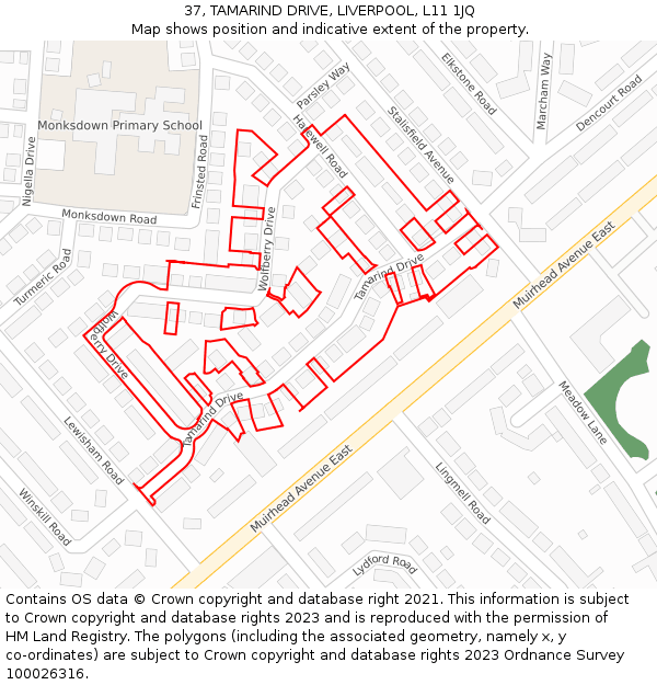 37, TAMARIND DRIVE, LIVERPOOL, L11 1JQ: Location map and indicative extent of plot