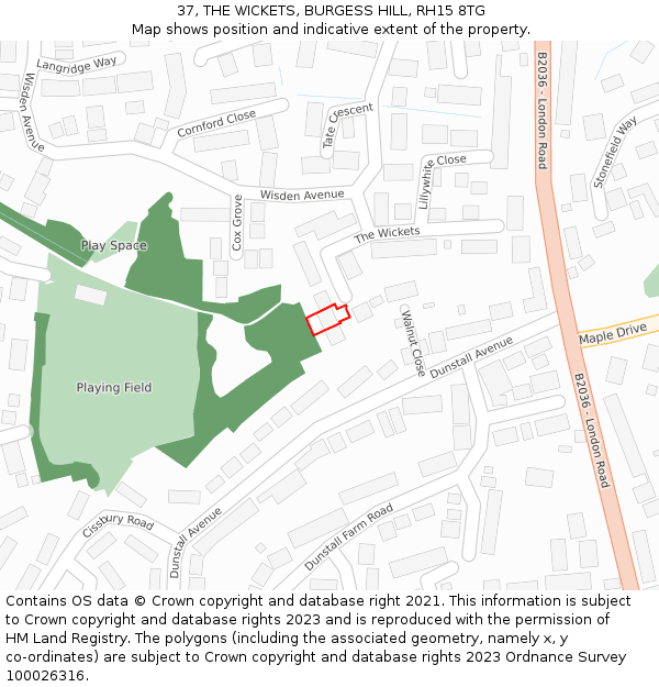 37, THE WICKETS, BURGESS HILL, RH15 8TG: Location map and indicative extent of plot