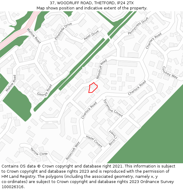 37, WOODRUFF ROAD, THETFORD, IP24 2TX: Location map and indicative extent of plot