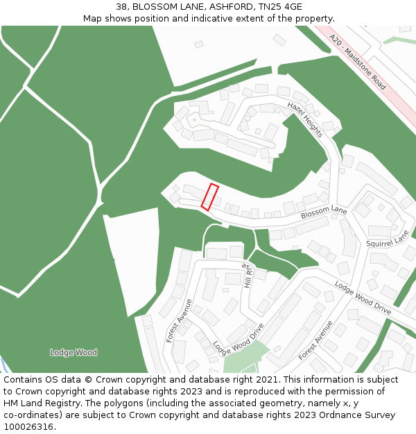 38, BLOSSOM LANE, ASHFORD, TN25 4GE: Location map and indicative extent of plot