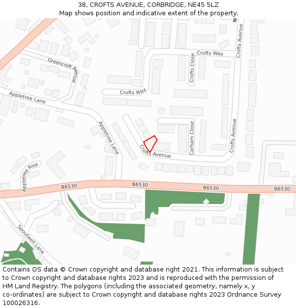 38, CROFTS AVENUE, CORBRIDGE, NE45 5LZ: Location map and indicative extent of plot