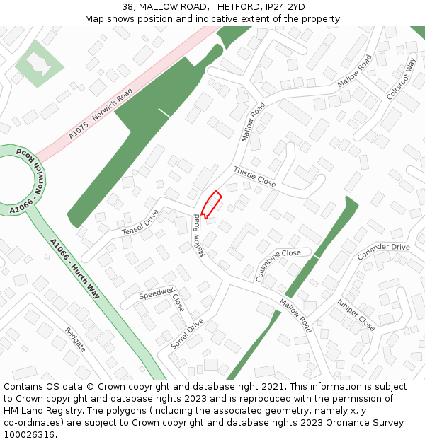 38, MALLOW ROAD, THETFORD, IP24 2YD: Location map and indicative extent of plot