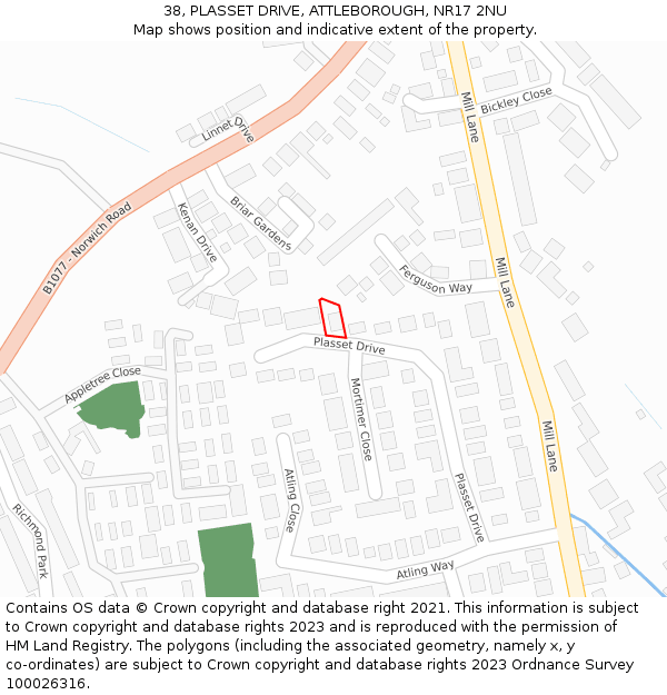 38, PLASSET DRIVE, ATTLEBOROUGH, NR17 2NU: Location map and indicative extent of plot