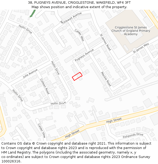 38, PUGNEYS AVENUE, CRIGGLESTONE, WAKEFIELD, WF4 3FT: Location map and indicative extent of plot
