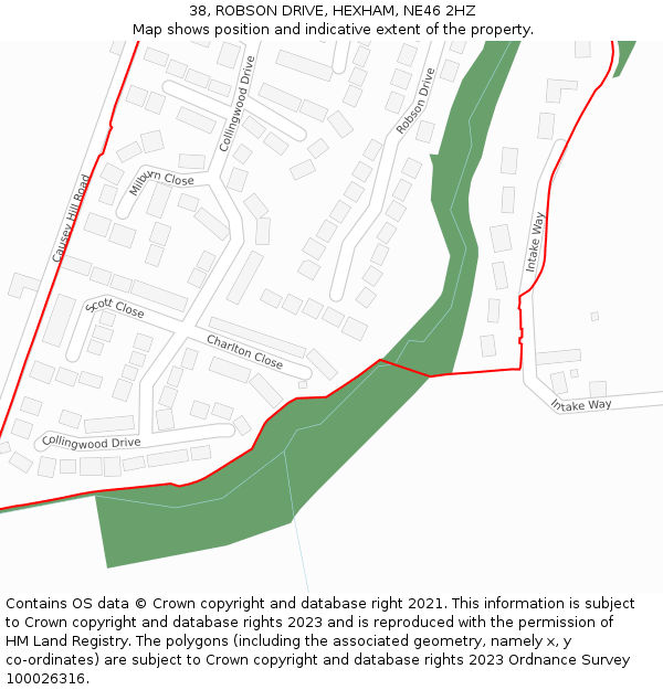 38, ROBSON DRIVE, HEXHAM, NE46 2HZ: Location map and indicative extent of plot