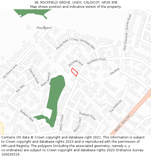 38, ROCKFIELD GROVE, UNDY, CALDICOT, NP26 3FB: Location map and indicative extent of plot