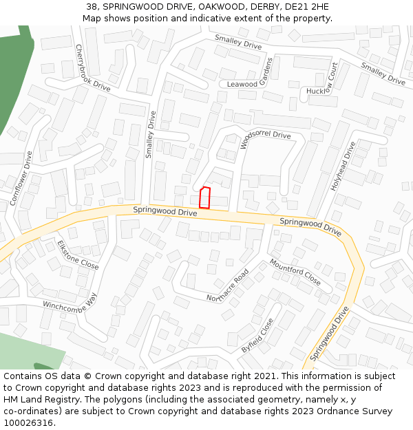 38, SPRINGWOOD DRIVE, OAKWOOD, DERBY, DE21 2HE: Location map and indicative extent of plot