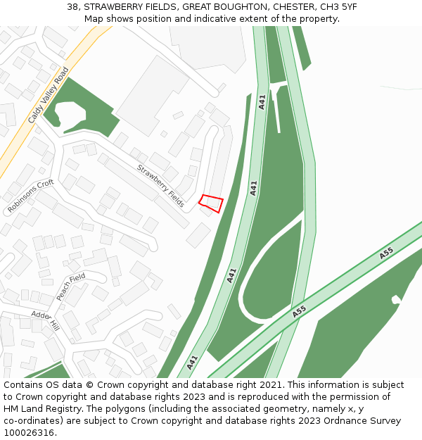 38, STRAWBERRY FIELDS, GREAT BOUGHTON, CHESTER, CH3 5YF: Location map and indicative extent of plot