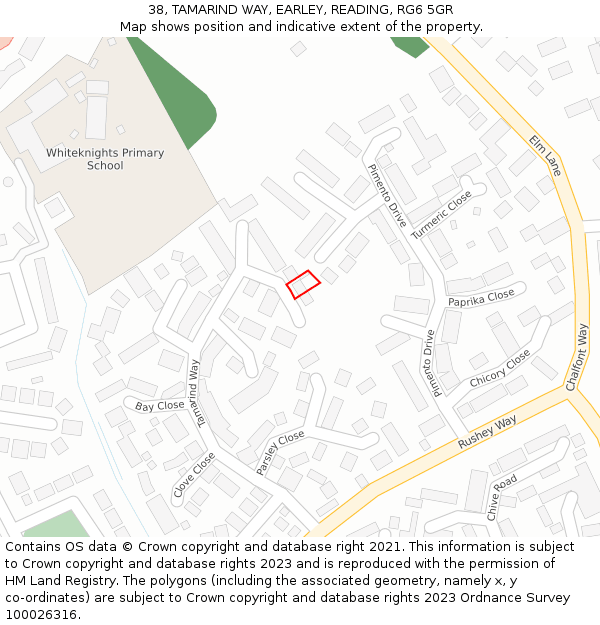 38, TAMARIND WAY, EARLEY, READING, RG6 5GR: Location map and indicative extent of plot