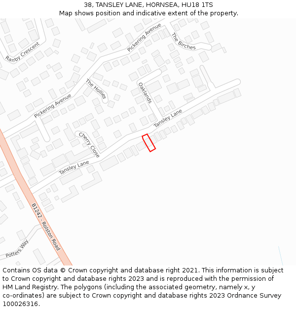 38, TANSLEY LANE, HORNSEA, HU18 1TS: Location map and indicative extent of plot