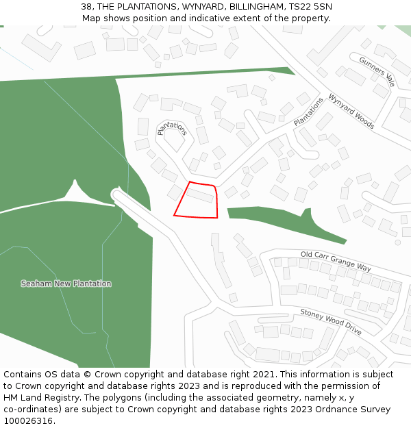 38, THE PLANTATIONS, WYNYARD, BILLINGHAM, TS22 5SN: Location map and indicative extent of plot