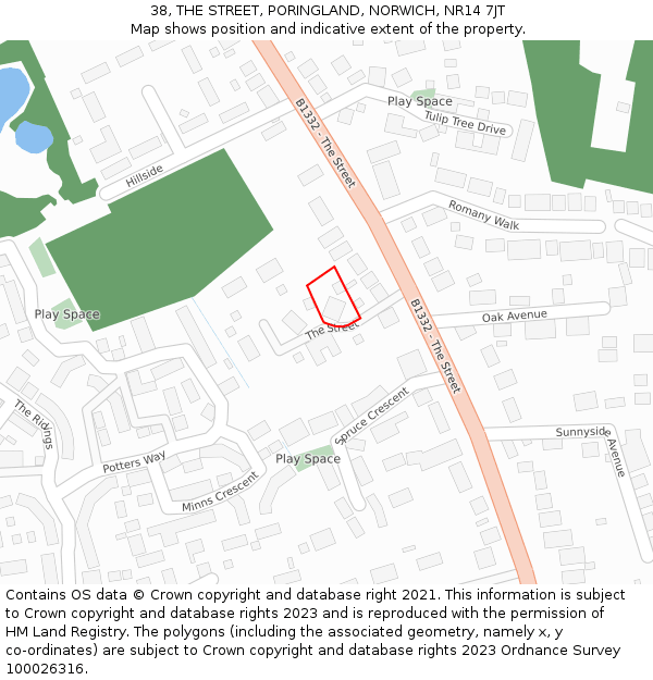 38, THE STREET, PORINGLAND, NORWICH, NR14 7JT: Location map and indicative extent of plot