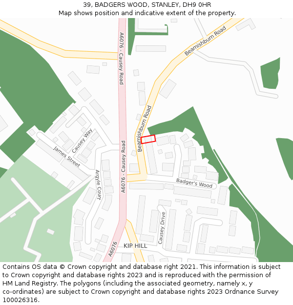 39, BADGERS WOOD, STANLEY, DH9 0HR: Location map and indicative extent of plot