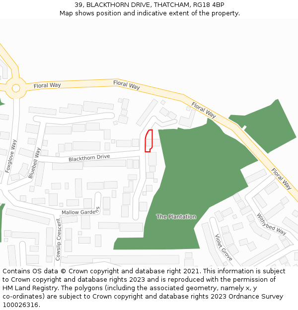 39, BLACKTHORN DRIVE, THATCHAM, RG18 4BP: Location map and indicative extent of plot