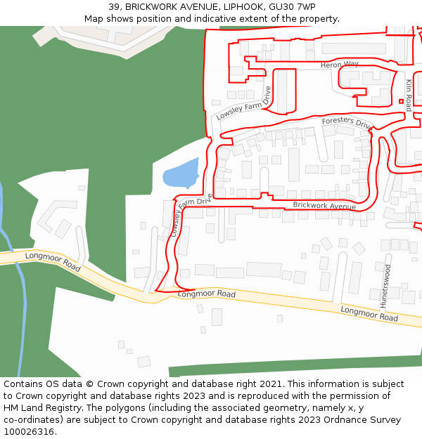 39, BRICKWORK AVENUE, LIPHOOK, GU30 7WP: Location map and indicative extent of plot