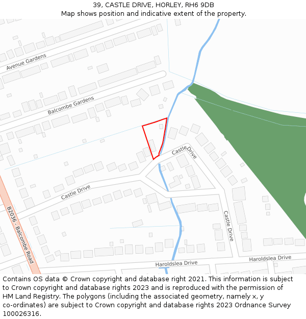 39, CASTLE DRIVE, HORLEY, RH6 9DB: Location map and indicative extent of plot