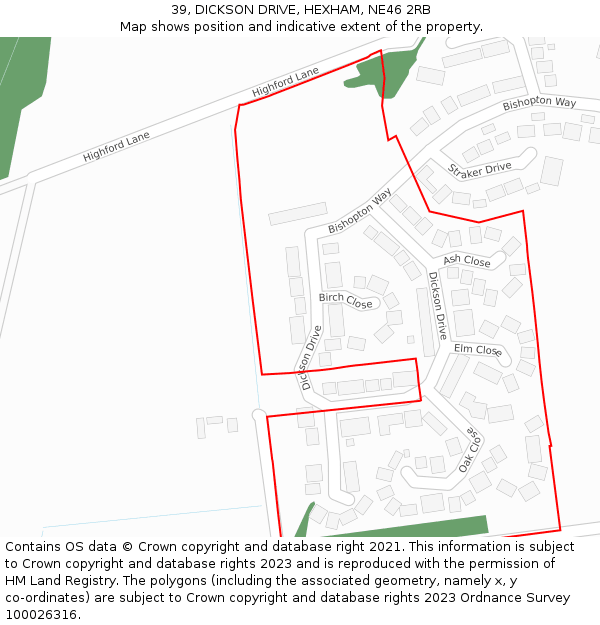 39, DICKSON DRIVE, HEXHAM, NE46 2RB: Location map and indicative extent of plot