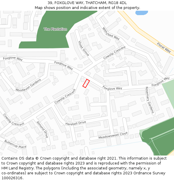 39, FOXGLOVE WAY, THATCHAM, RG18 4DL: Location map and indicative extent of plot