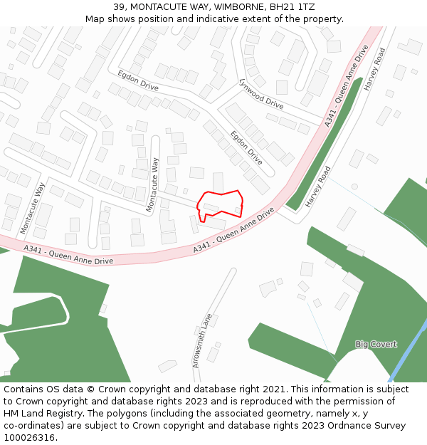 39, MONTACUTE WAY, WIMBORNE, BH21 1TZ: Location map and indicative extent of plot