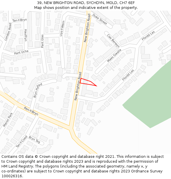 39, NEW BRIGHTON ROAD, SYCHDYN, MOLD, CH7 6EF: Location map and indicative extent of plot