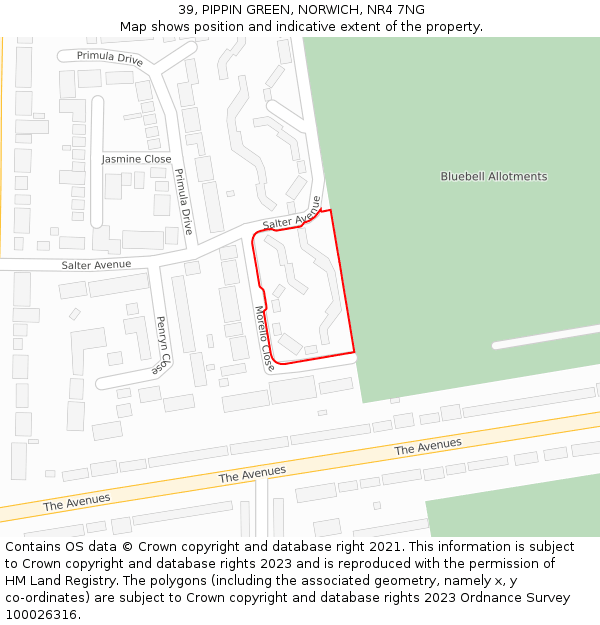 39, PIPPIN GREEN, NORWICH, NR4 7NG: Location map and indicative extent of plot