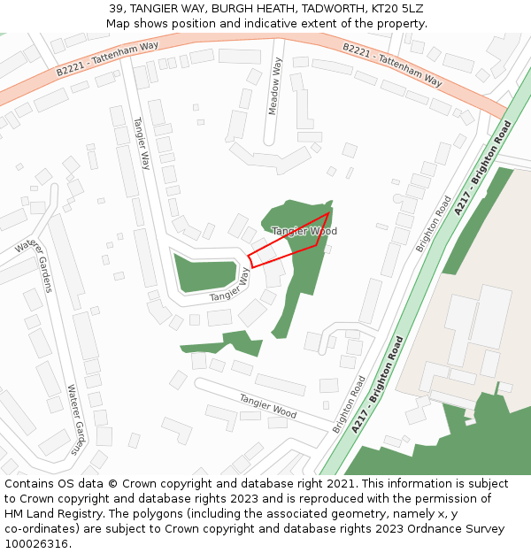 39, TANGIER WAY, BURGH HEATH, TADWORTH, KT20 5LZ: Location map and indicative extent of plot