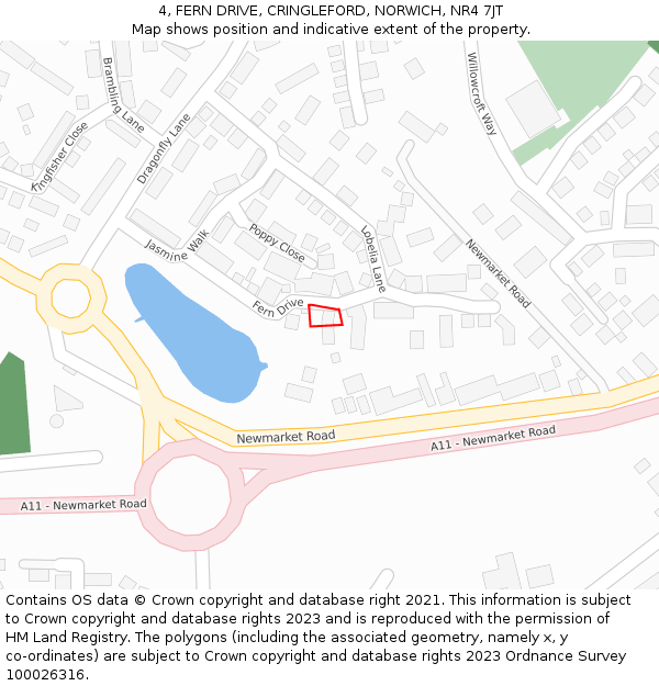 4, FERN DRIVE, CRINGLEFORD, NORWICH, NR4 7JT: Location map and indicative extent of plot