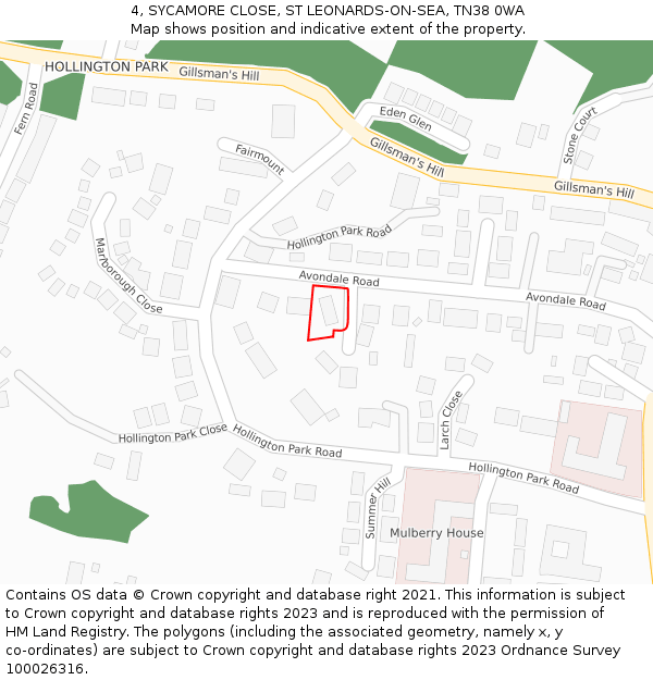 4, SYCAMORE CLOSE, ST LEONARDS-ON-SEA, TN38 0WA: Location map and indicative extent of plot