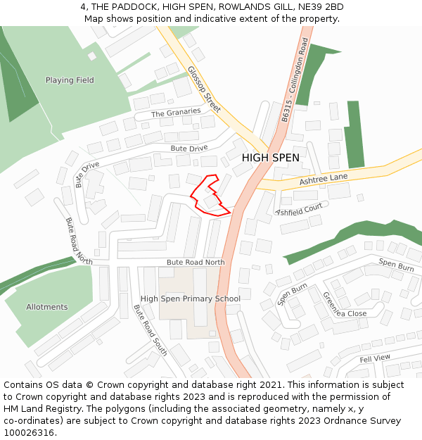 4, THE PADDOCK, HIGH SPEN, ROWLANDS GILL, NE39 2BD: Location map and indicative extent of plot