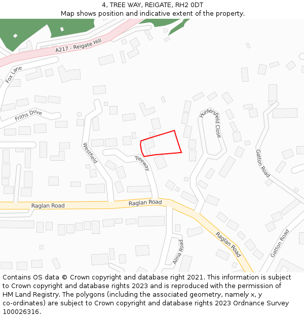 4, TREE WAY, REIGATE, RH2 0DT: Location map and indicative extent of plot