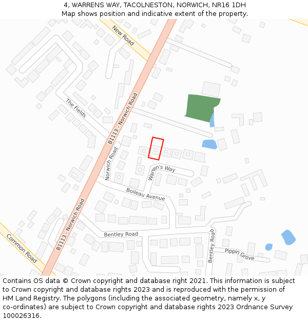 4, WARRENS WAY, TACOLNESTON, NORWICH, NR16 1DH: Location map and indicative extent of plot