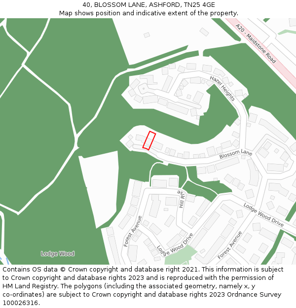 40, BLOSSOM LANE, ASHFORD, TN25 4GE: Location map and indicative extent of plot