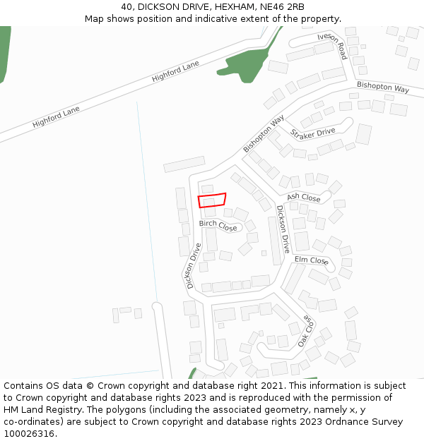 40, DICKSON DRIVE, HEXHAM, NE46 2RB: Location map and indicative extent of plot