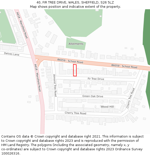 40, FIR TREE DRIVE, WALES, SHEFFIELD, S26 5LZ: Location map and indicative extent of plot