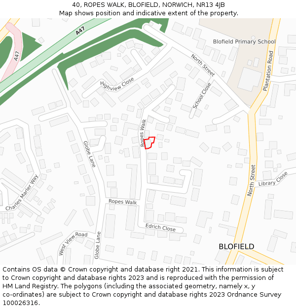 40, ROPES WALK, BLOFIELD, NORWICH, NR13 4JB: Location map and indicative extent of plot