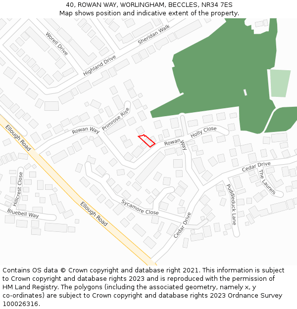 40, ROWAN WAY, WORLINGHAM, BECCLES, NR34 7ES: Location map and indicative extent of plot