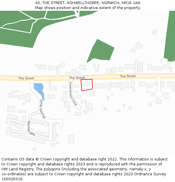 40, THE STREET, ASHWELLTHORPE, NORWICH, NR16 1AA: Location map and indicative extent of plot
